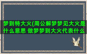 梦到特大火(周公解梦梦见大火是什么意思 做梦梦到大火代表什么好不好)